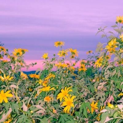 bb贝博官方平台下载