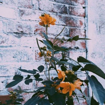 Kaiyun(云开)体育App(官方)手机app下载